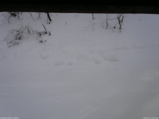 長野県菅平高原 ゆたか山荘 南側 2026/01/22 13:45