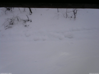 長野県菅平高原 ゆたか山荘 南側 2026/01/22 14:00