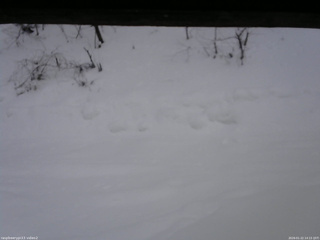 長野県菅平高原 ゆたか山荘 南側 2026/01/22 14:15