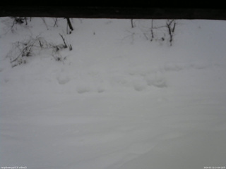 長野県菅平高原 ゆたか山荘 南側 2026/01/22 14:30