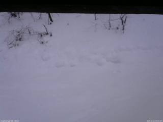 長野県菅平高原 ゆたか山荘 南側 2026/01/22 14:45