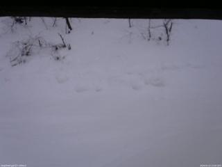 長野県菅平高原 ゆたか山荘 南側 2026/01/22 15:00