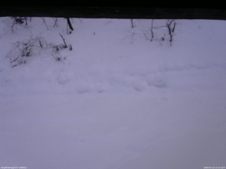 長野県菅平高原 ゆたか山荘 南側 2026/01/22 15:15