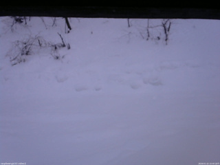 長野県菅平高原 ゆたか山荘 南側 2026/01/22 15:45