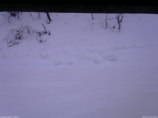 長野県菅平高原 ゆたか山荘 南側 2026/01/22 16:15