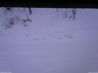 長野県菅平高原 ゆたか山荘 南側 2026/01/22 16:30