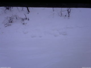 長野県菅平高原 ゆたか山荘 南側 2026/01/22 16:45