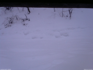 長野県菅平高原 ゆたか山荘 南側 2026/01/22 17:00