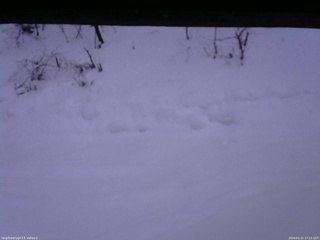 長野県菅平高原 ゆたか山荘 南側 2026/01/22 17:15