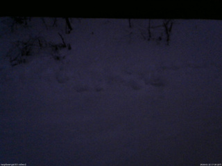 長野県菅平高原 ゆたか山荘 南側 2026/01/22 17:30