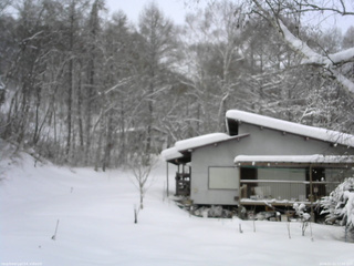 長野県菅平高原 ゆたか山荘 西側(坂上) 2026/01/22 11:00
