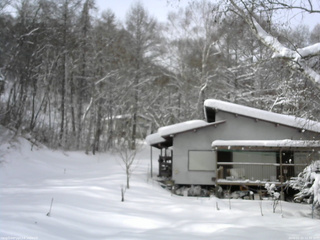 長野県菅平高原 ゆたか山荘 西側(坂上) 2026/01/22 11:30