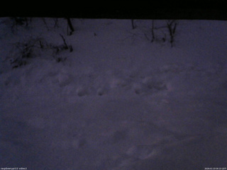 長野県菅平高原 ゆたか山荘 南側 2026/01/23 06:15