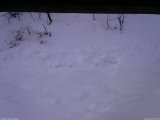 長野県菅平高原 ゆたか山荘 南側 2026/01/23 06:30