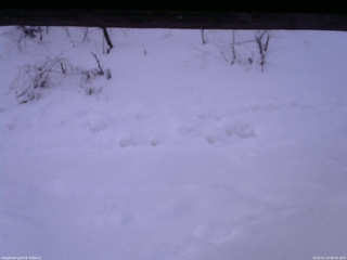 長野県菅平高原 ゆたか山荘 南側 2026/01/23 06:45