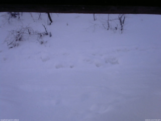 長野県菅平高原 ゆたか山荘 南側 2026/01/23 07:00