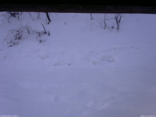 長野県菅平高原 ゆたか山荘 南側 2026/01/23 07:30