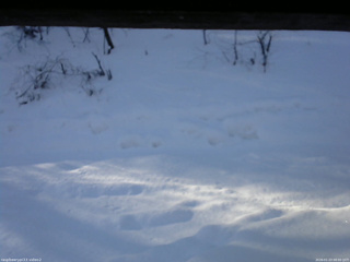 長野県菅平高原 ゆたか山荘 南側 2026/01/23 08:00