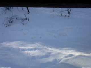 長野県菅平高原 ゆたか山荘 南側 2026/01/23 08:15