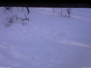 長野県菅平高原 ゆたか山荘 南側 2026/01/23 08:30