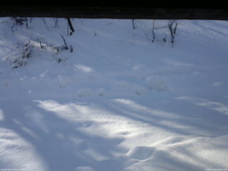 長野県菅平高原 ゆたか山荘 南側 2026/01/23 09:00