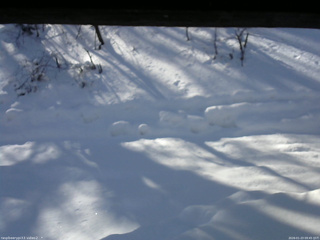 長野県菅平高原 ゆたか山荘 南側 2026/01/23 09:45