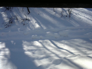 長野県菅平高原 ゆたか山荘 南側 2026/01/23 10:00