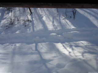 長野県菅平高原 ゆたか山荘 南側 2026/01/23 10:45