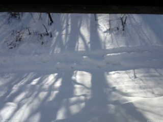 長野県菅平高原 ゆたか山荘 南側 2026/01/23 11:45