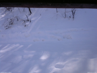 長野県菅平高原 ゆたか山荘 南側 2026/01/23 12:30