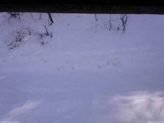 長野県菅平高原 ゆたか山荘 南側 2026/01/23 12:45