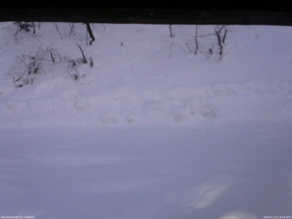 長野県菅平高原 ゆたか山荘 南側 2026/01/23 13:00