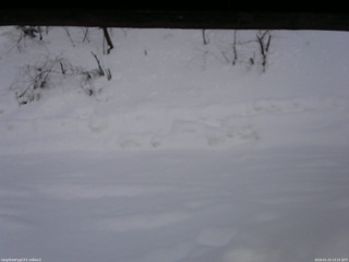 長野県菅平高原 ゆたか山荘 南側 2026/01/23 13:15