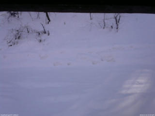 長野県菅平高原 ゆたか山荘 南側 2026/01/23 13:30