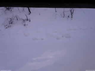 長野県菅平高原 ゆたか山荘 南側 2026/01/23 13:45