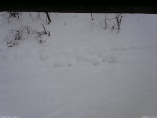 長野県菅平高原 ゆたか山荘 南側 2026/01/23 14:00