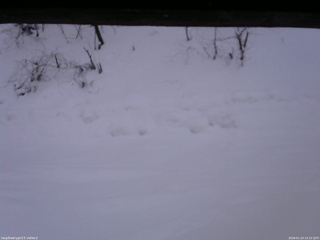 長野県菅平高原 ゆたか山荘 南側 2026/01/23 14:15