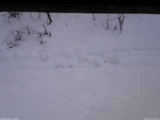 長野県菅平高原 ゆたか山荘 南側 2026/01/23 14:30