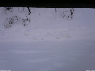 長野県菅平高原 ゆたか山荘 南側 2026/01/23 15:00