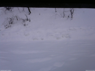 長野県菅平高原 ゆたか山荘 南側 2026/01/23 15:15