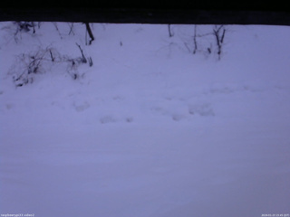 長野県菅平高原 ゆたか山荘 南側 2026/01/23 15:45