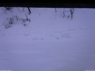 長野県菅平高原 ゆたか山荘 南側 2026/01/23 16:15