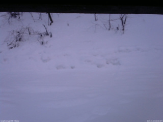 長野県菅平高原 ゆたか山荘 南側 2026/01/23 16:30