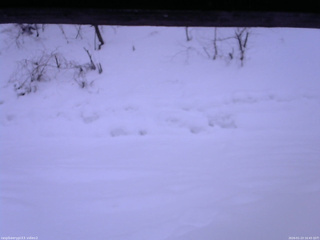 長野県菅平高原 ゆたか山荘 南側 2026/01/23 16:45