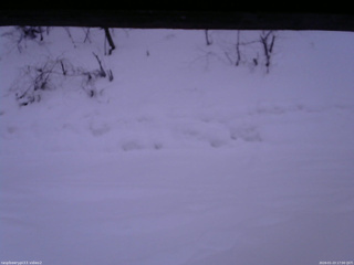 長野県菅平高原 ゆたか山荘 南側 2026/01/23 17:00