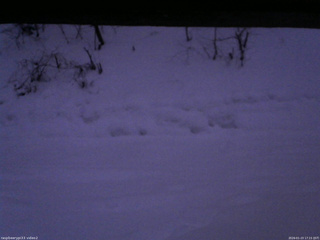 長野県菅平高原 ゆたか山荘 南側 2026/01/23 17:15