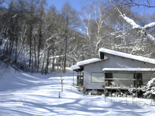 長野県菅平高原 ゆたか山荘 西側(坂上) 2026/01/23 11:00