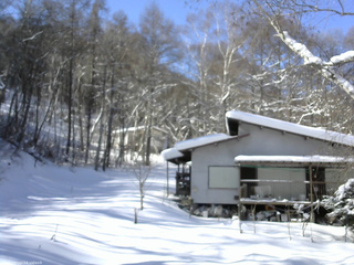長野県菅平高原 ゆたか山荘 西側(坂上) 2026/01/23 11:45