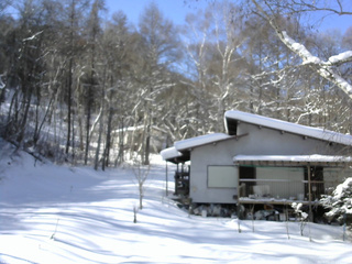 長野県菅平高原 ゆたか山荘 西側(坂上) 2026/01/23 12:00