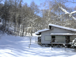 長野県菅平高原 ゆたか山荘 西側(坂上) 2026/01/23 12:15